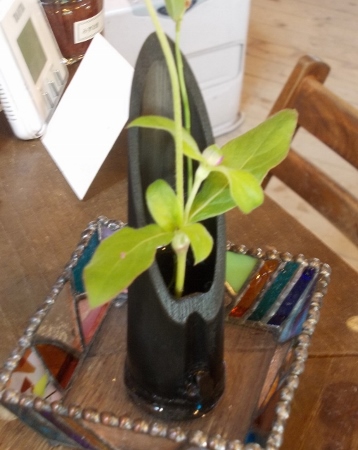 ファイル 299-1.jpg