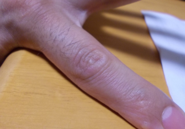 ファイル 301-3.jpg