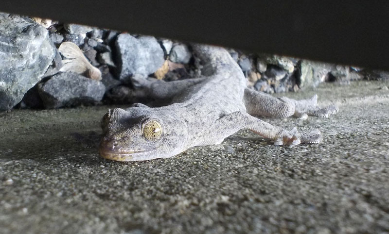 ファイル 302-2.jpg