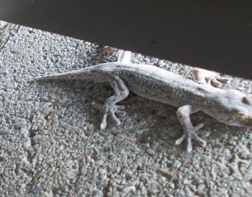 ファイル 302-3.jpg