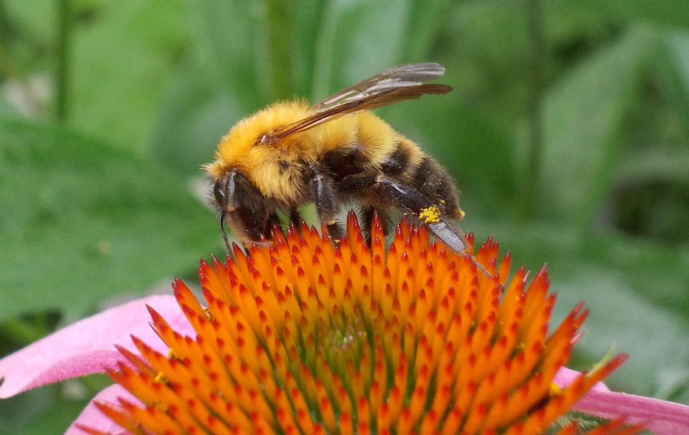 ファイル 304-1.jpg