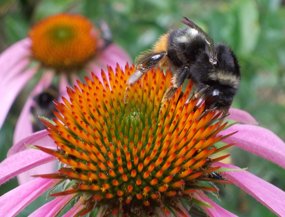 ファイル 304-2.jpg