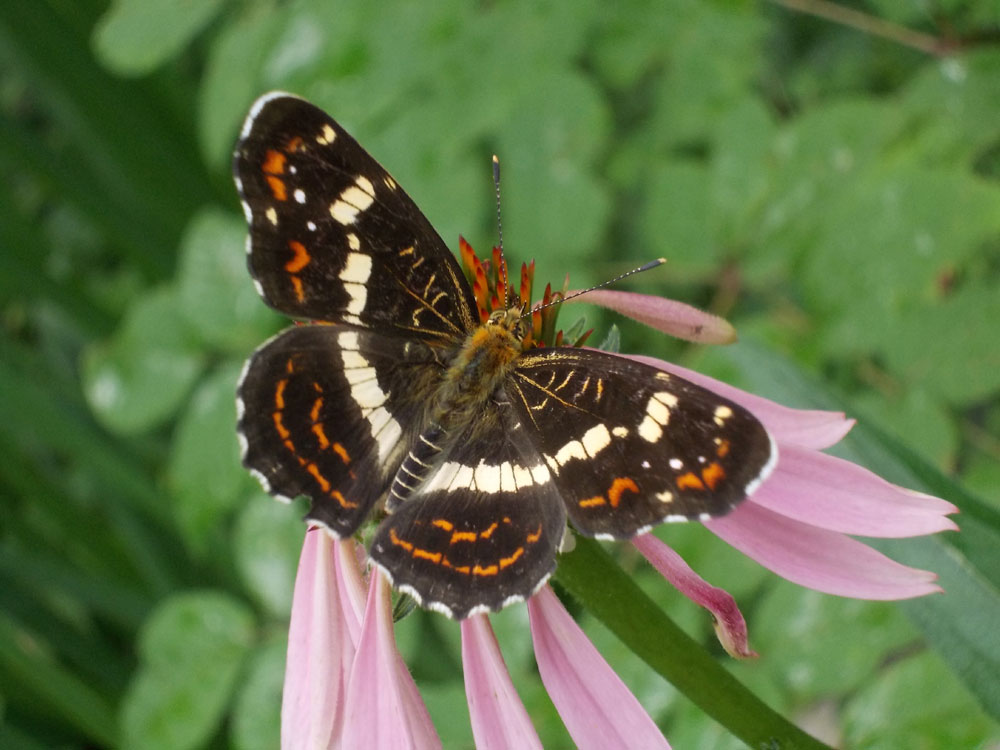 ファイル 304-3.jpg