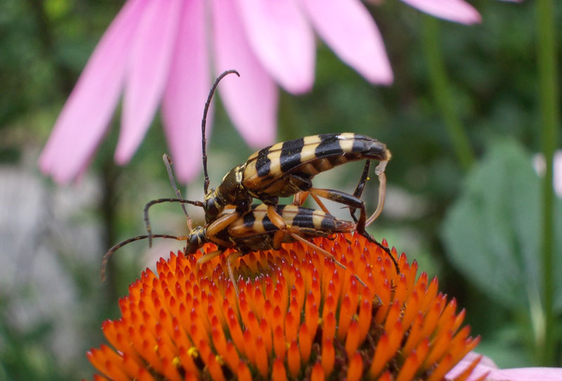 ファイル 304-4.jpg