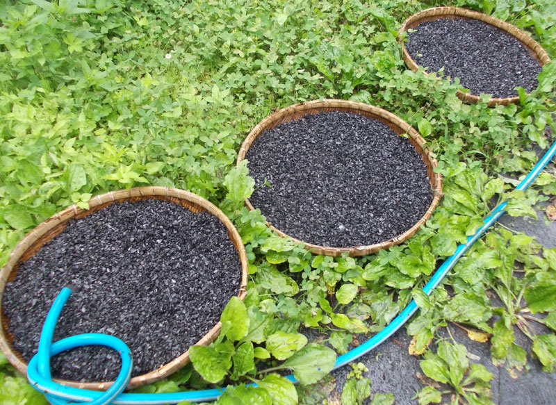 ファイル 305-4.jpg