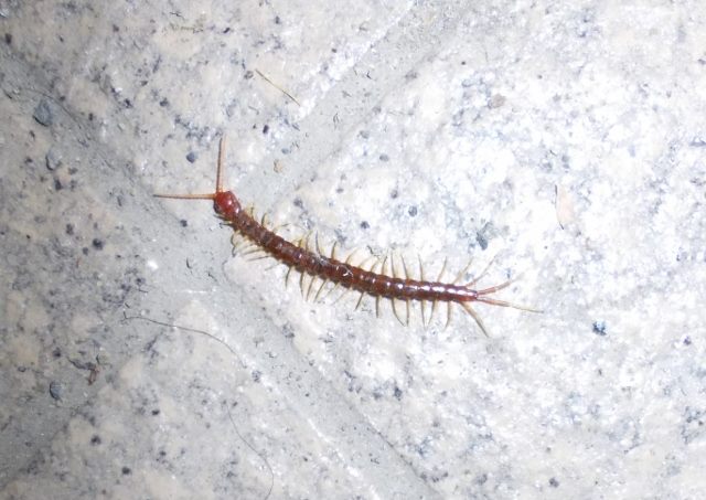 ファイル 307-1.jpg