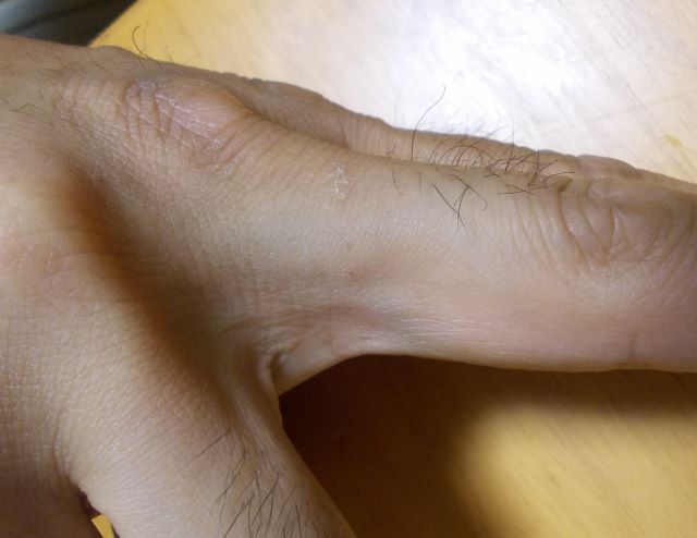 ファイル 307-2.jpg