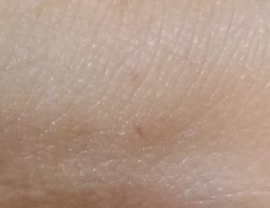 ファイル 307-3.jpg