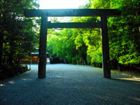 �ɐ��_�{ ���{