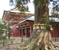 �d�}�_�Ћ����̂��_��