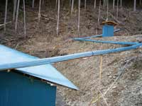 �|�|�t�̎�3