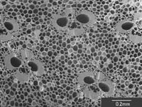 �|�Y�g��ʐ^