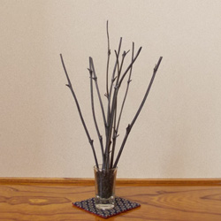 ファイル 22-3.jpg