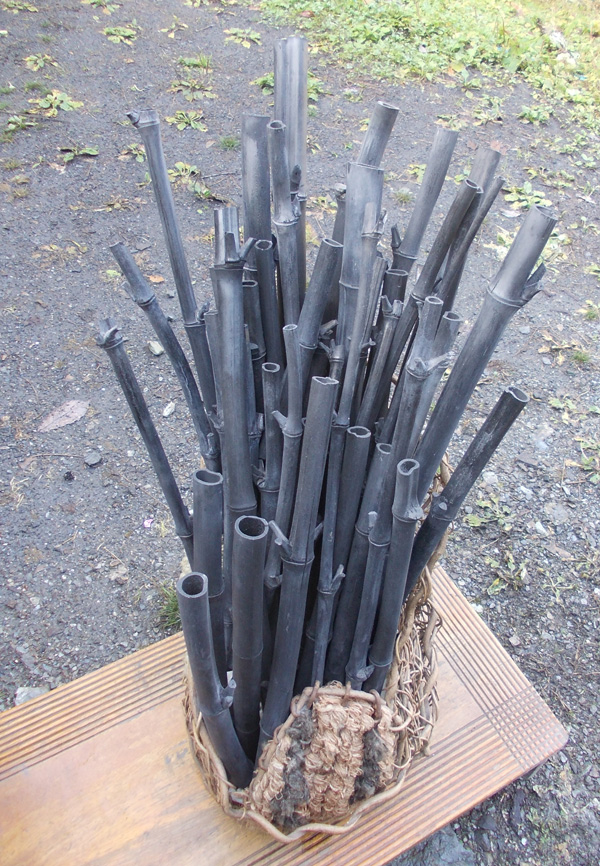 ファイル 32-1.jpg